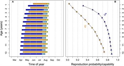 Physiological, Behavioral, and Life-History Adaptations to Environmental Fluctuations in the Edible Dormouse